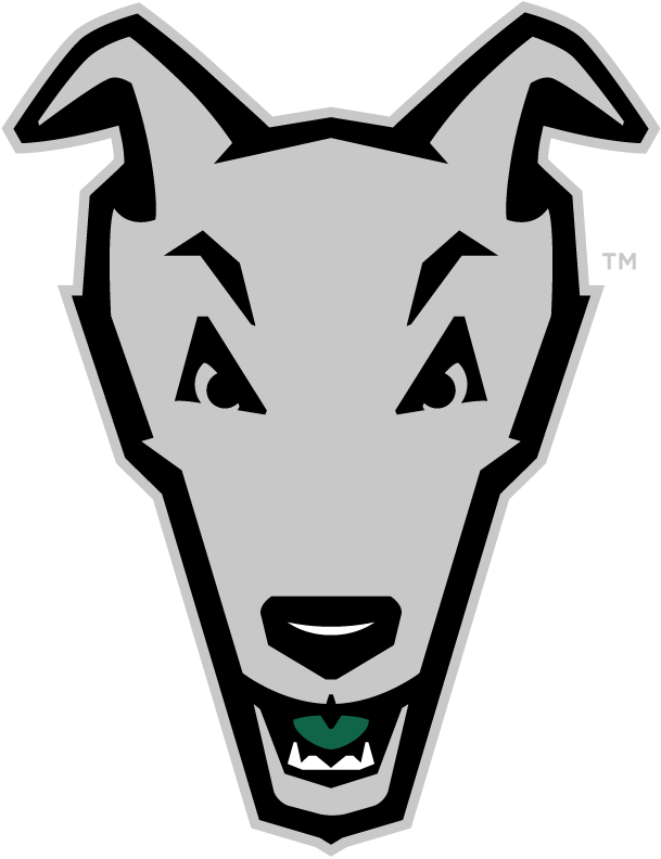 Loyola-Maryland Greyhounds 2011-Pres Alternate Logo t shirts iron on transfers